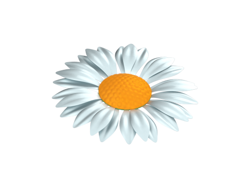 雏菊花朵缩略图